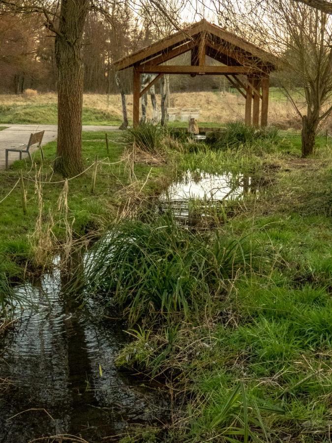 le domaine des drôles de dames Buding Exterior foto